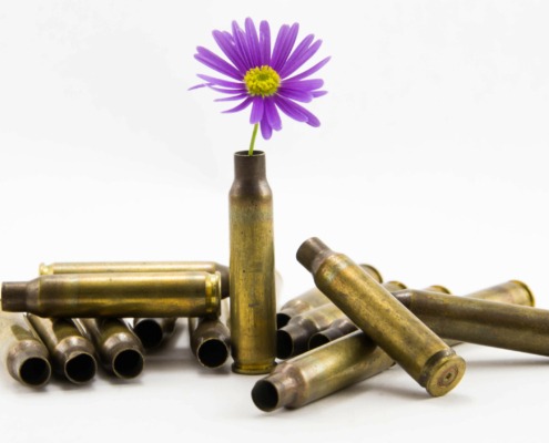 Flower growing out of bullet